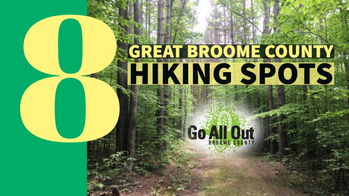 8 Great Broome County Hiking Spots Go All Out Broome